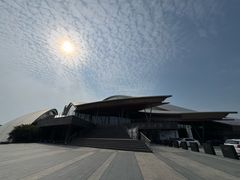 -合肥大剧院