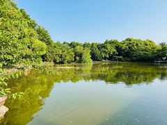 -兰亭风景区