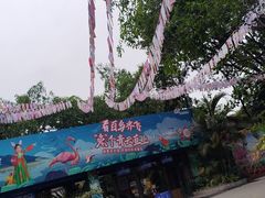 -广州长隆飞鸟乐园