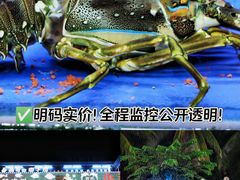 -小海豚·老字号海鲜餐厅(三亚湾店)