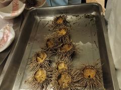 -雍和会海鲜姿造自助(湖东路店)