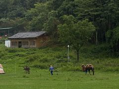 -武陵山森林公园