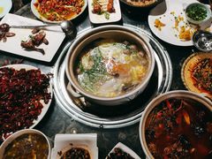 -先机泉水鸡汤(南山老君洞店)