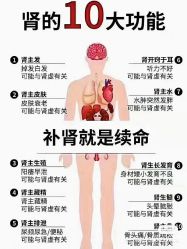 -海茱雅科技健康美容