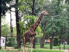 -北京动物园-畅观楼