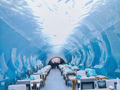 -涛·海底餐厅·美人鱼·自助餐·海底隧道(三亚海棠湾洲际度假酒店)