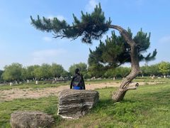 -汉长安城未央宫国家考古遗址公园