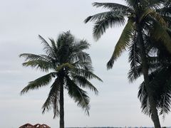 -霞山观海长廊
