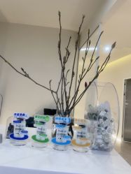 -VE专注问题肌·赛诺龙&科学美肤中心