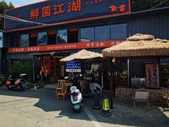 -鲜菌江湖正宗野生菌火锅