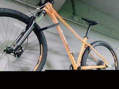 -道路口单车爱瓦士dahon大行