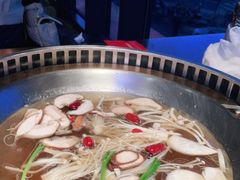 -辣伍鲜毛肚老火锅(元一店)