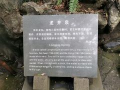 -龙井村