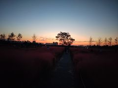 -汉长安城未央宫国家考古遗址公园