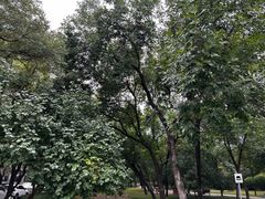 -元大都城垣遗址公园