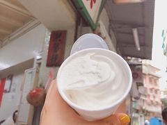 -洪馨椰子