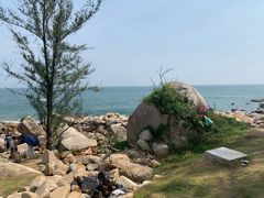 -广东惠东海龟国家级自然保护区