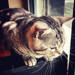 -幸运7纹身刺青Lucky7tattoo