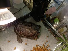 -粉墨私人影院•无人自助(维多利亚店)