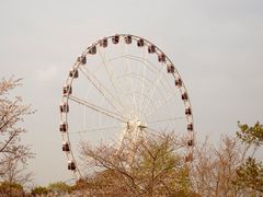 -顾村公园