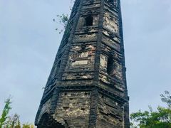 -上海佘山国家森林公园天马山园