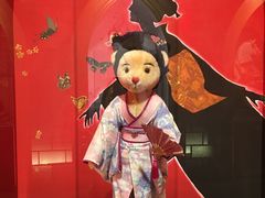 -朝安泰迪熊博物馆