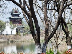 -唐岛湾公园
