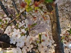 -栖露营camping·天幕烧烤·团建拓展·采摘营地