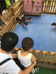 -萌宠亲子动物乐园(槐房万达店)