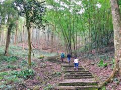 -广州市石门国家森林公园