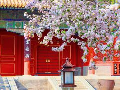 -故宫博物院(故宫)