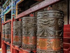 -塔尔寺菩提树