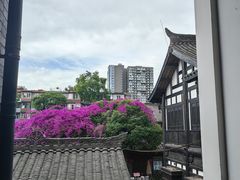 -星巴克臻选(成都宽窄巷子店)