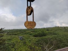 -凤凰山国家森林公园