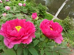 -狼山风景名胜区