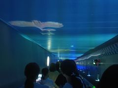-白鹤梁水下博物馆