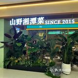 尝鲜美味佳肴咯