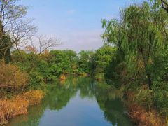 -西溪国家湿地公园