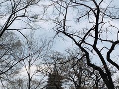 -高尔山公园