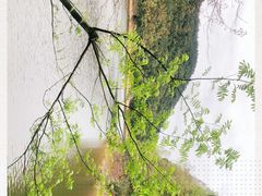 -千岛湖龙川湾
