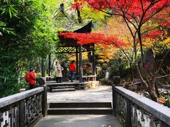 -岳麓山风景名胜区