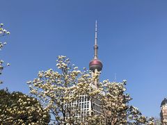 -东方明珠广播电视塔