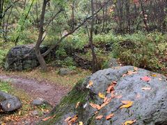 -云岫谷游猎自然风景区