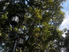 -荔湾湖公园