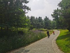 -莫子山公园
