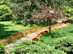 -庐山风景区花径公园