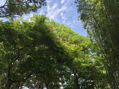 -九龙公园