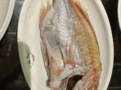 -吴记富苑(朝阳店)