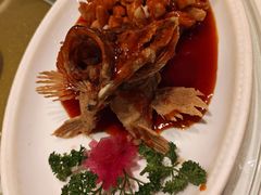 -得月楼·省级非遗·传统苏帮菜(观前店)