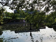 -嘉定紫藤园